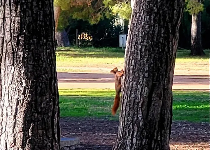 Beach Apartment * El Grado